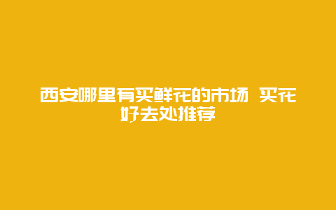 西安哪里有买鲜花的市场 买花好去处推荐