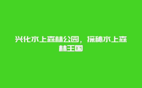 兴化水上森林公园，探秘水上森林王国