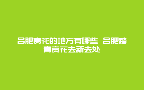 合肥赏花的地方有哪些 合肥踏青赏花去新去处