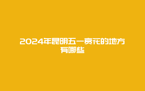 2024年昆明五一赏花的地方有哪些