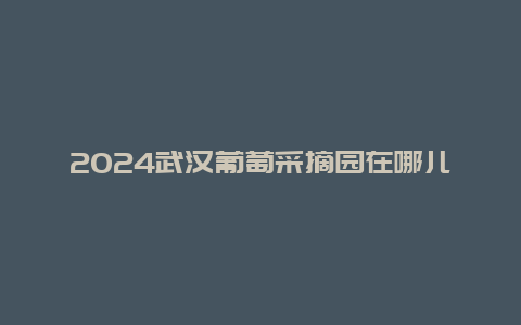 2024武汉葡萄采摘园在哪儿