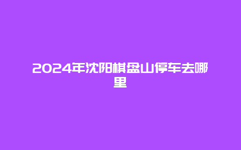 2024年沈阳棋盘山停车去哪里