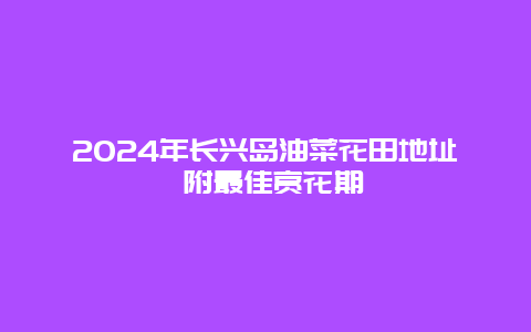 2024年长兴岛油菜花田地址 附最佳赏花期