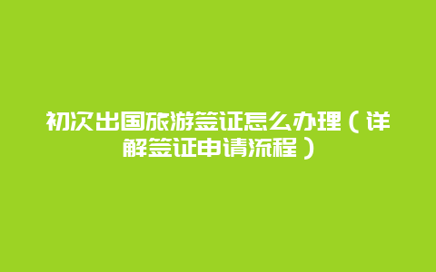 初次出国旅游签证怎么办理（详解签证申请流程）