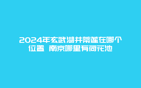 2024年玄武湖并蒂莲在哪个位置 南京哪里有荷花池