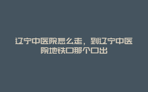 辽宁中医院怎么走，到辽宁中医院地铁口那个口出