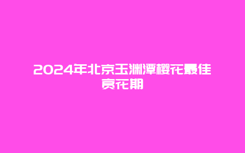 2024年北京玉渊潭樱花最佳赏花期