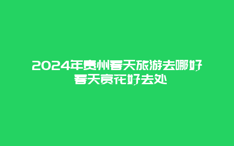 2024年贵州春天旅游去哪好 春天赏花好去处