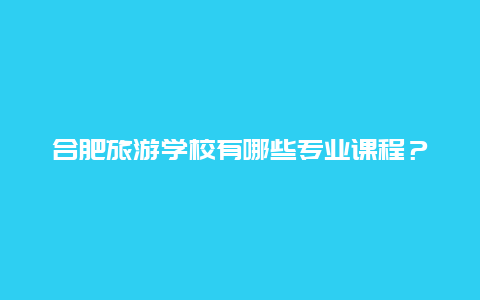 合肥旅游学校有哪些专业课程？