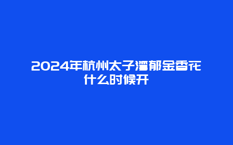 2024年杭州太子湾郁金香花什么时候开