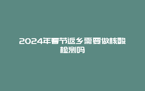 2024年春节返乡需要做核酸检测吗