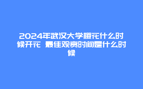 2024年武汉大学樱花什么时候开花 最佳观赏时间是什么时候