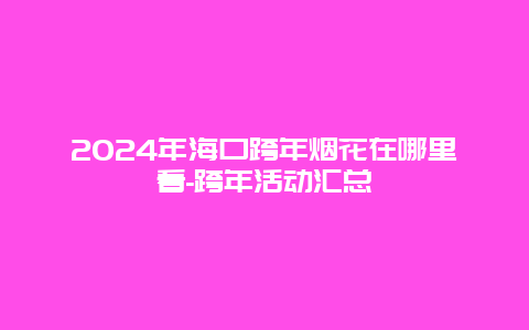 2024年海口跨年烟花在哪里看-跨年活动汇总