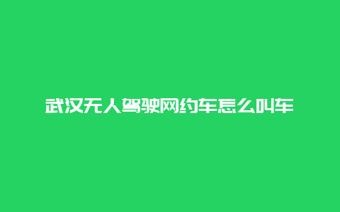 武汉无人驾驶网约车怎么叫车