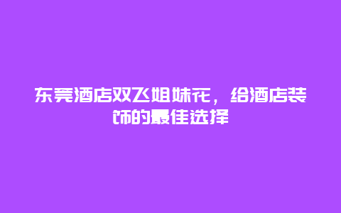 东莞酒店双飞姐妹花，给酒店装饰的最佳选择