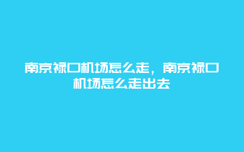 南京禄口机场怎么走，南京禄口机场怎么走出去