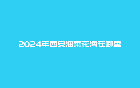 2024年西安油菜花海在哪里