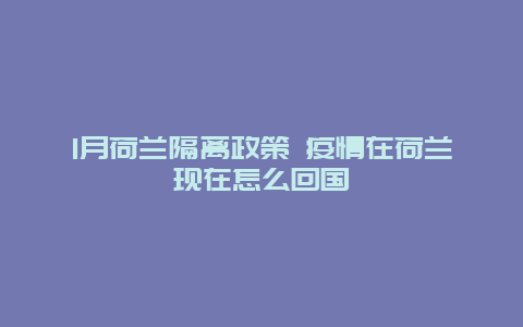 1月荷兰隔离政策 疫情在荷兰现在怎么回国