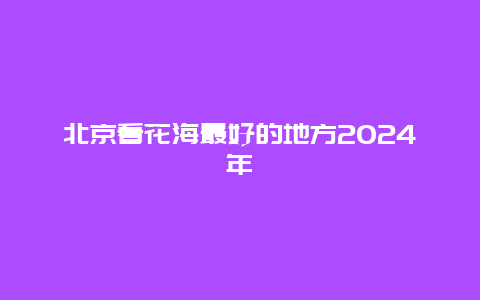 北京看花海最好的地方2024年