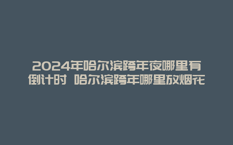 2024年哈尔滨跨年夜哪里有倒计时 哈尔滨跨年哪里放烟花