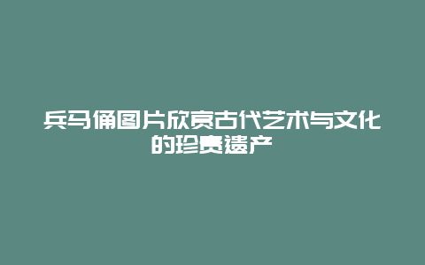 兵马俑图片欣赏古代艺术与文化的珍贵遗产