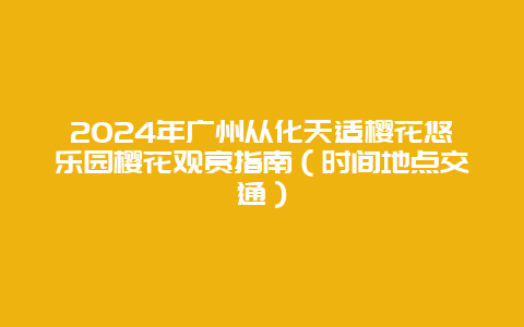 2024年广州从化天适樱花悠乐园樱花观赏指南（时间地点交通）