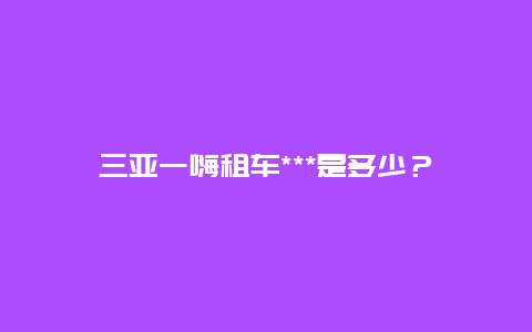 三亚一嗨租车***是多少？