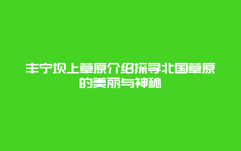 丰宁坝上草原介绍探寻北国草原的美丽与神秘