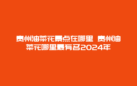 贵州油菜花景点在哪里 贵州油菜花哪里最有名2024年