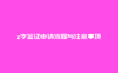 z字签证申请流程与注意事项