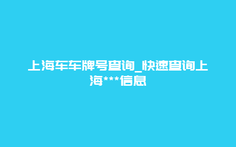 上海车车牌号查询_快速查询上海***信息