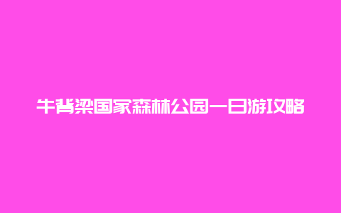 牛背梁国家森林公园一日游攻略