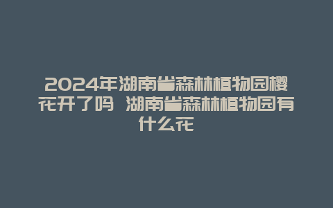 2024年湖南省森林植物园樱花开了吗 湖南省森林植物园有什么花