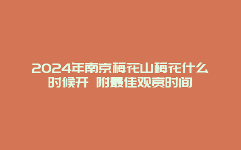 2024年南京梅花山梅花什么时候开 附最佳观赏时间