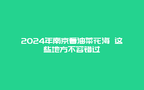 2024年南京看油菜花海 这些地方不容错过