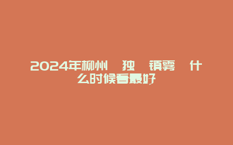 2024年柳州​独峒镇雾凇什么时候看最好