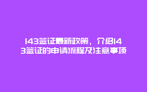 143签证最新政策，介绍143签证的申请流程及注意事项