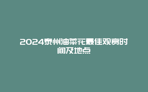 2024泰州油菜花最佳观赏时间及地点