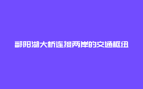 鄱阳湖大桥连接两岸的交通枢纽