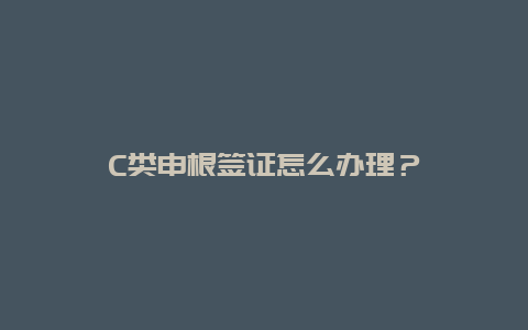 C类申根签证怎么办理？