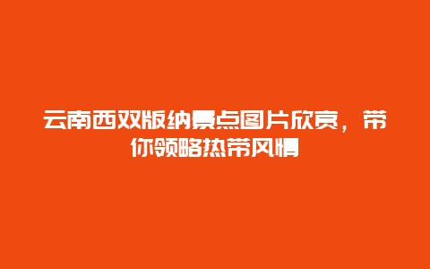 云南西双版纳景点图片欣赏，带你领略热带风情