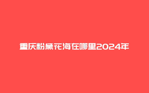 重庆粉黛花海在哪里2024年