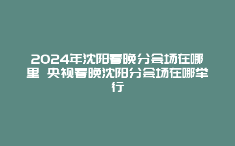 2024年沈阳春晚分会场在哪里 央视春晚沈阳分会场在哪举行