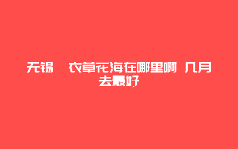 无锡薰衣草花海在哪里啊 几月去最好