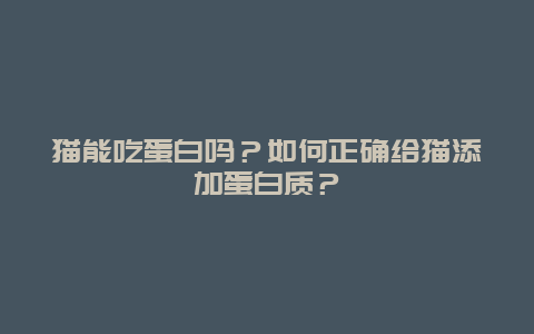 猫能吃蛋白吗？如何正确给猫添加蛋白质？