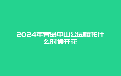 2024年青岛中山公园樱花什么时候开花