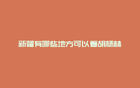 新疆有哪些地方可以看胡杨林