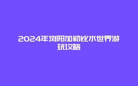 2024年浏阳加勒比水世界游玩攻略