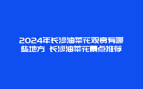 2024年长沙油菜花观赏有哪些地方 长沙油菜花景点推荐