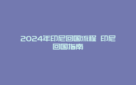 2024年印尼回国流程 印尼回国指南